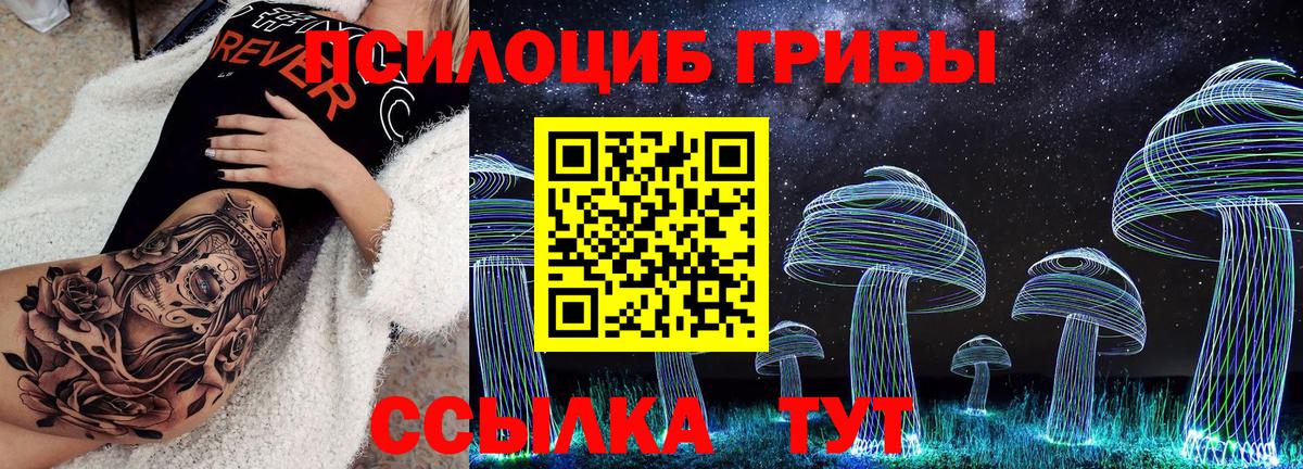 Псилоцибиновые грибы прущие грибы  Псилоцибиновые грибы MAGIC MUSHROOMS  Назарово  Вход с VPN 